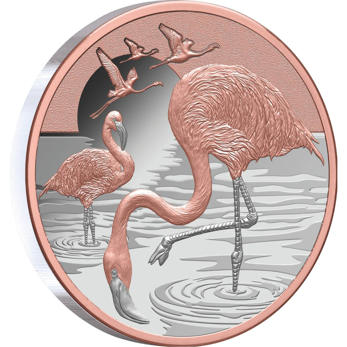 Pink Flamingo 2025 $1 Rose Gold-plated 1oz Silver Proof Coin – Thompsons  Coins