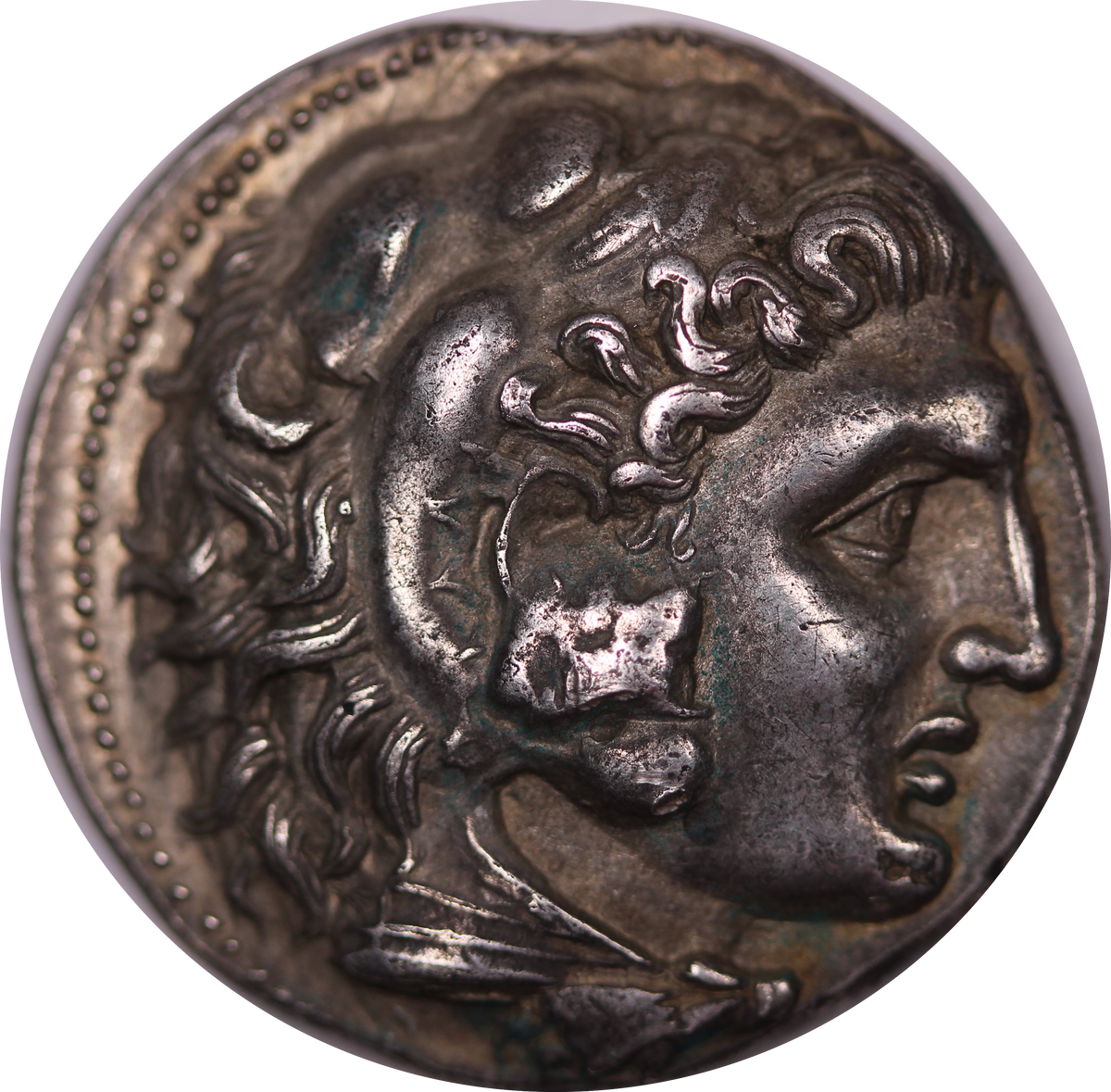 IMG_8062_1200x1200.png?v=