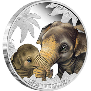 2014 50c Mother's Love Asian Elephant 1/2oz Silver Coloured Proof Coin