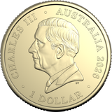 2026 Australian Winter Paralympic Team - $1 UNC Coloured Coin