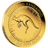 Australian Kangaroo 2017 2oz Gold Proof Pink Diamond Edition