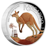 Kangaroo 2024 1oz Silver Proof High Relief Coloured Coin