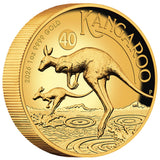 Australian Kangaroo 2026 1oz Gold Proof High Relief Coin