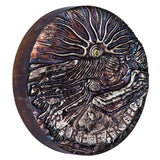 Rare Earth 2018 5oz Silver High Relief Patina Coin