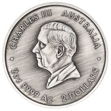 Turtle Yaunati 2026 2oz Silver Antiqued Coloured Coin