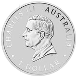 2026 Australian Emu 1oz Silver Coloured Coin