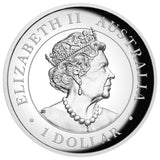 Australian Wedge-tailed Eagle 2020 1oz Silver Proof High Relief Coin