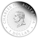 Great Southern Land 2025 1oz Silver Proof Snakeskin Jasper Coin