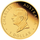 Hobart Money Expo Special Australian Nugget 40th Anniversary 2026 1oz Silver Proof Gold-Plated Coin