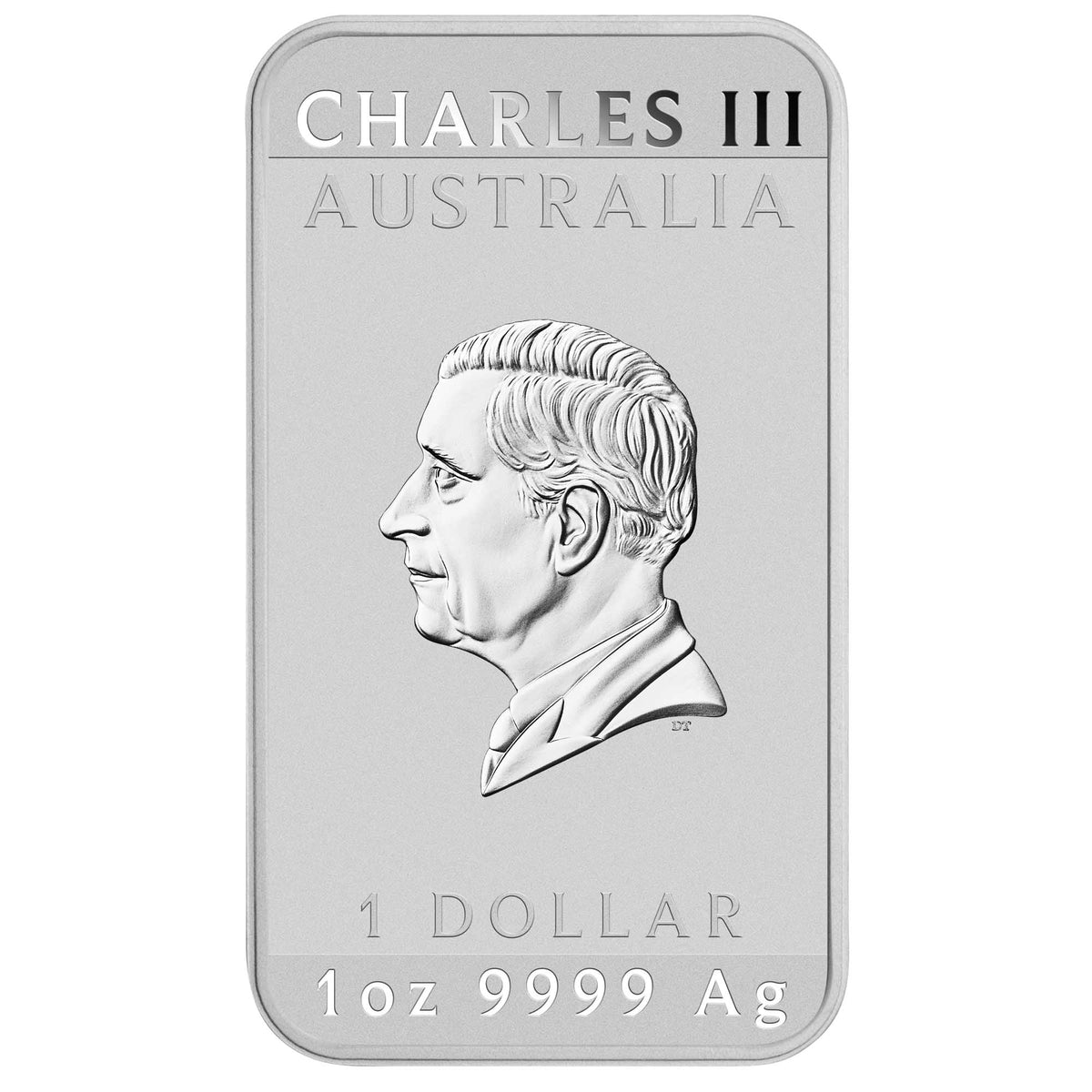 Lunar Horse 2026 1oz Silver Coloured Rectangular Coin – Thompsons Coins