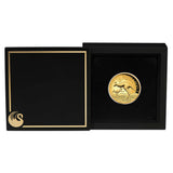 Australian Kangaroo 2026 1oz Gold Proof High Relief Coin