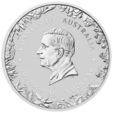 Wonders of Australia - The Outback 2026 1oz Silver Coloured Coin in Card