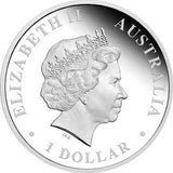 2010 $1 Mary Mackillop First Australian Saint 1oz Silver Coloured Proof Coin
