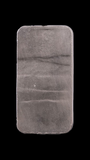 XAG 100 gram Silver Tiger Cast Bar