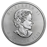 2020 Canada Lucky Dragon 1 oz Pure Silver High Relief Coin