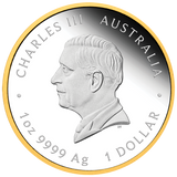 2026 175th Anniversary of Australia First Gold Rush 1oz Silver Proof Gilded Coin