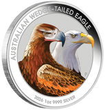 2026 Australian Wedge-Tailed Eagle 1oz Silver Coloured Coin in Card