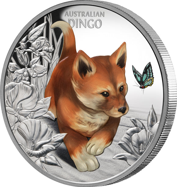 2024 Baby Dingo $1 1oz Silver Proof Coin