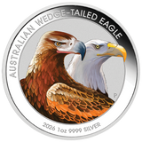 2026 Australian Wedge-Tailed Eagle 1oz Silver Coloured Coin in Card