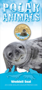 2013 $1 Polar Series Weddell Seal Coloured Uncirculated Coin