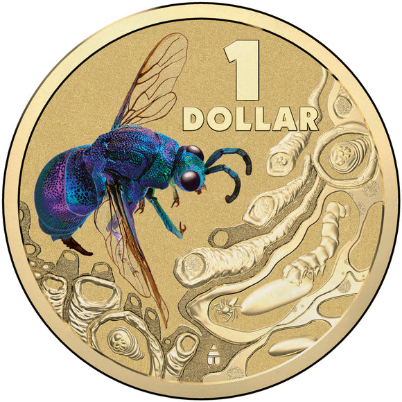 2014 $1 Bright Bug Cuckoo Wasp Uncirculated Coin