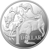 2023 Fine Silver Proof Year Set