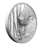 Canada 2024 $20 Ultra-High Relief Fine Silver Coin - Great Hunters: Cougar