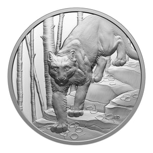 Canada 2024 $20 Ultra-High Relief Fine Silver Coin - Great Hunters: Cougar