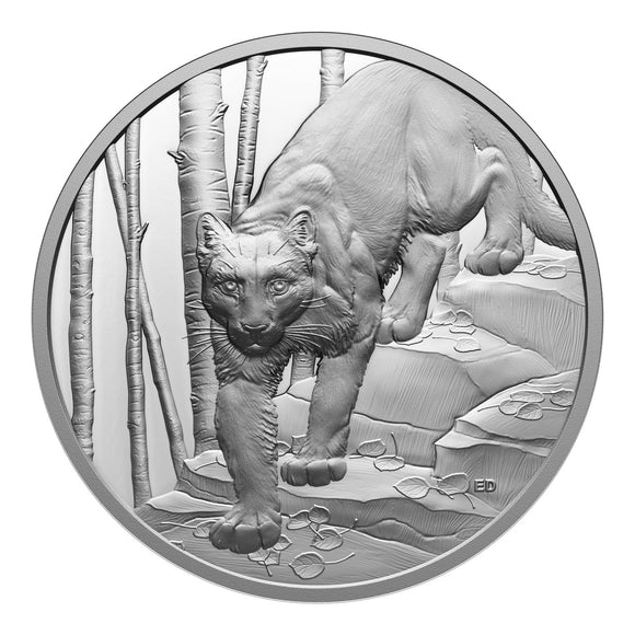 Canada 2024 $20 Ultra-High Relief Fine Silver Coin - Great Hunters: Cougar