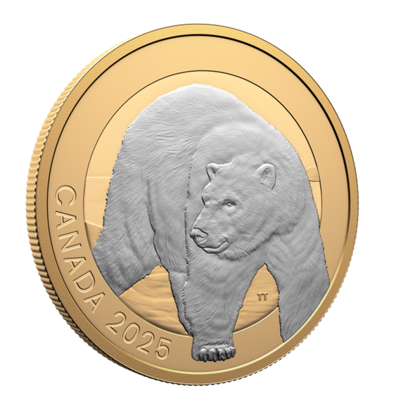 2025 $20 Fine Silver Coin - Animal Portraits: Polar Bear