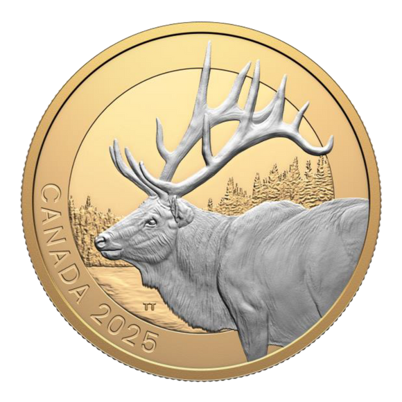 2025 $20 Fine Silver Coin - Animal Portraits: Elk