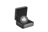 2025 $20 Fine Silver Coin - Elegant Maple