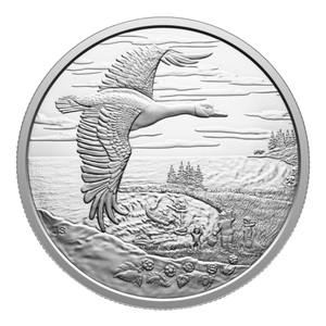 2025 $20 Fine Silver Coin - Interconnected Nature