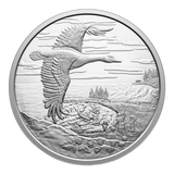 2025 $20 Fine Silver Coin - Interconnected Nature