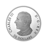 2025 $20 Fine Silver Coin - Moon Sky: Raven