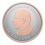 Canada 2025 $20 Maple Leaf Ultra High Relief 1oz Silver Coin