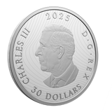 2025 $30 Fine Silver Coin Magic of the Northern Lights