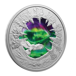 2025 $30 Fine Silver Coin Magic of the Northern Lights