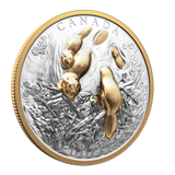 2025 Canada $50 Fine Silver Coin - Canadian Symbol: The Beaver