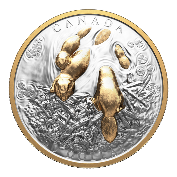 2025 Canada $50 Fine Silver Coin - Canadian Symbol: The Beaver