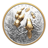 2025 Canada $50 Fine Silver Coin - Canadian Symbol: The Beaver