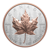 2025 $50 Canadian Maple Lead Ultra High Relief 5oz Silver Coin