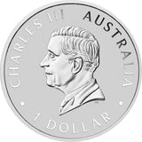2026 Australian Swan 1oz Silver Coloured Coin - Perth Money Expo ANDA Show Special