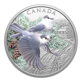 2026 Canada $20 Fine Silver Coin - Colourful Birds: Canada Jays