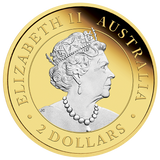 2022 2oz Silver Reverse Gilded Kangaroo