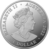 2022 Dusky Dolphin 1oz Silver Coin