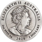 2020 Year Of The Mouse Lunar 2oz Silver Antiqued Coin