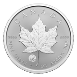 2024 1oz Silver Coin – Treasured Silver Maple Leaf First Strikes: Polar Bear Privy