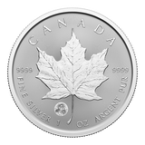 2024 1oz Silver Coin – Treasured Silver Maple Leaf First Strikes: Congratulations Privy Mark