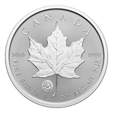 2024 1oz Silver Coin – Treasured Silver Maple Leaf First Strikes: Year of the Dragon Privy Mark